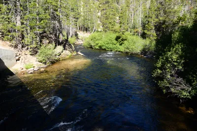 DSC_9890 (Large).JPG